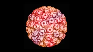 Virus